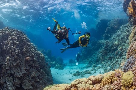 Scuba Diving in Fujairah