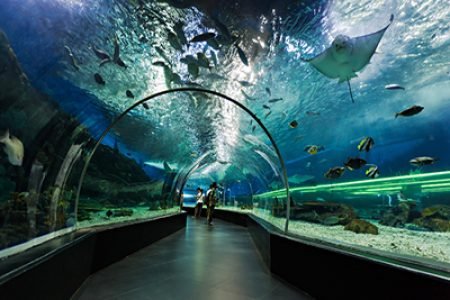 Dubai aquarium