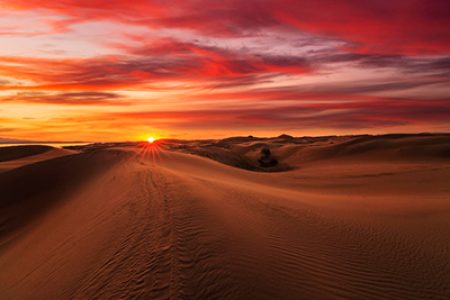 Sunrise Desert Safari Dubai