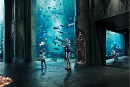 The Lost Chambers Aquarium