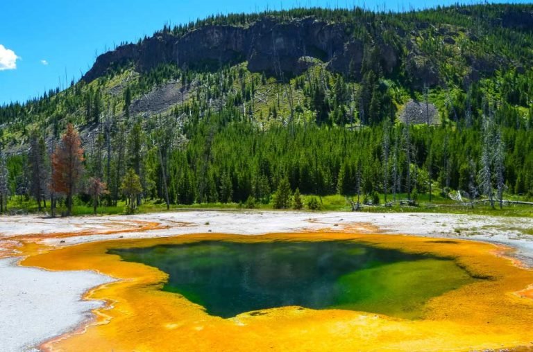 Yellowstone Geysers and Wildlife – Tours, Animals, Hot Springs Tour